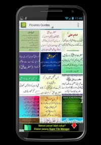 Hazrat Ali Quotes in Urdu Screen Shot 1