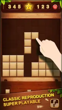 Board Block Puzzle Screen Shot 3