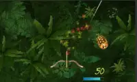 Two Player Fruit Shoot Screen Shot 0