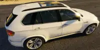 Real X5 Simulator Mengemudi: BMW 2017 Screen Shot 3