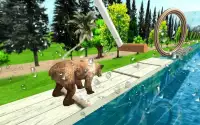 Wild Bear Water Stunts Screen Shot 0