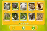 تعلم والعب مع الحيوانات Screen Shot 5