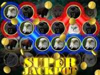 Wild Cat Slot: Real Jackpot & Super Hot Wins Screen Shot 4