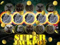 Wild Cat Slot: Real Jackpot & Super Hot Wins Screen Shot 3