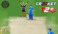 India vs Nz - The Cricket challenge 2017 Screen Shot 2