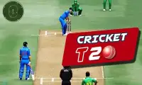 India vs Nz - The Cricket challenge 2017 Screen Shot 1