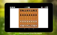 Chess and Variants Screen Shot 3