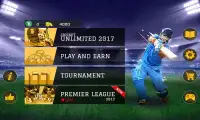 Cricket Unlimited 2017 Screen Shot 13
