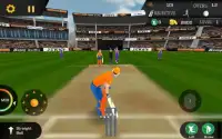 Cricket Unlimited 2017 Screen Shot 5