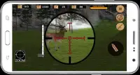 Hewan Sniper Berburu Screen Shot 4