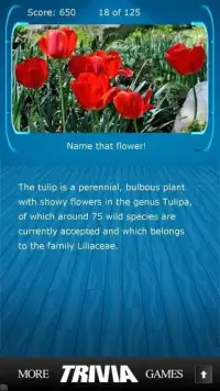 Name that Flower Trivia Screen Shot 2