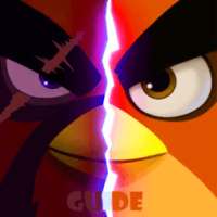Guide for AngryBirds Evolution