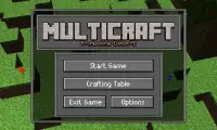 Multicraft Pro Edition PE Screen Shot 5
