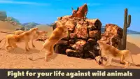 Llama Wild Life Simulator 3D Screen Shot 2