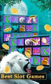 Lion 777 Fire Jackpot - Slots Mania Dom Free Spins Screen Shot 8