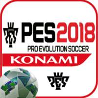 Pes-2018 PRO Guide