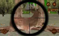 Sniper Berburu Rusa Tantangan Screen Shot 3