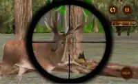 Sniper Berburu Rusa Tantangan Screen Shot 4