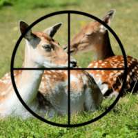 Sniper Deer Hunting Challenge