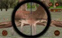 Sniper Berburu Rusa Tantangan Screen Shot 1
