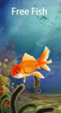 Free Fish Screen Screen Shot 0