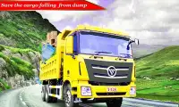 Trucker Cargo Transport Simulator: Lorry Games 3d Screen Shot 10