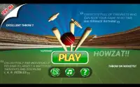 Cricket Run Out 3D Screen Shot 7