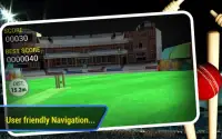 Cricket Run Out 3D Screen Shot 3