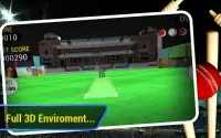 Cricket Run Out 3D Screen Shot 0