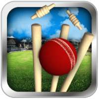 Cricket Run Out 3D