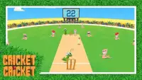 Cricket Cricket Screen Shot 3