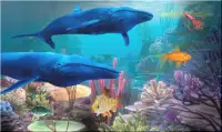 Hungry Shark Attack Blue Whale Evolution Simulator Screen Shot 1
