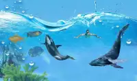 Hungry Shark Attack Blue Whale Evolution Simulator Screen Shot 5