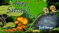 Ant Smash Pro Screen Shot 0