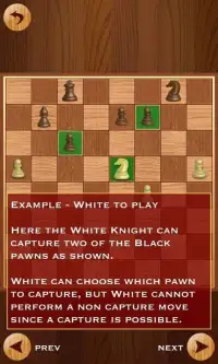 Reverse Chess Screen Shot 5