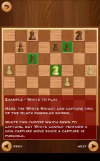 Reverse Chess Screen Shot 0