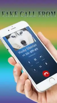 Fake Call from Siberian husky dog Screen Shot 2
