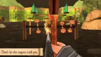 Master Archery Shooting Games Screen Shot 2
