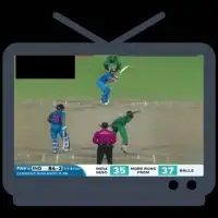 Live Cricket Tv on Mobile Screen Shot 1