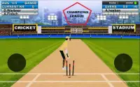 World Cricket Champions League Game Screen Shot 3