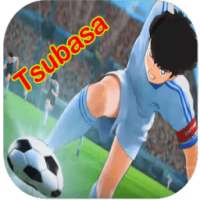 Pro Guide Captain Tsubasa