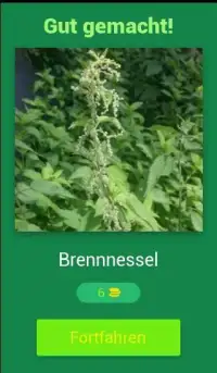 Essbare Pflanzen - Deutsch Screen Shot 8