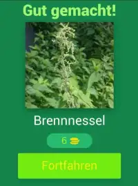 Essbare Pflanzen - Deutsch Screen Shot 0