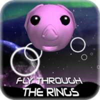 Fly Through The Rings