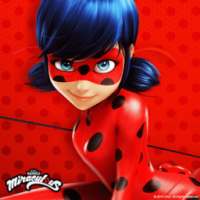 Miraculous lady bug New