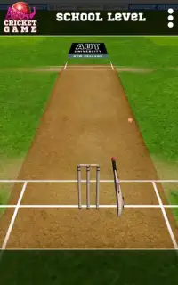 Blind Cricket Screen Shot 8