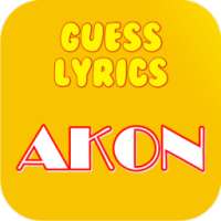 Guess Lyrics: Akon