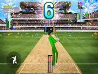 Mauka Mauka Cricket Game - Championship Fun Game Screen Shot 0