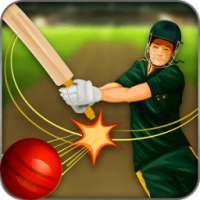 Mauka Mauka Cricket Game - Championship Fun Game