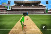 Mauka Mauka Cricket Game - Championship Fun Game Screen Shot 5